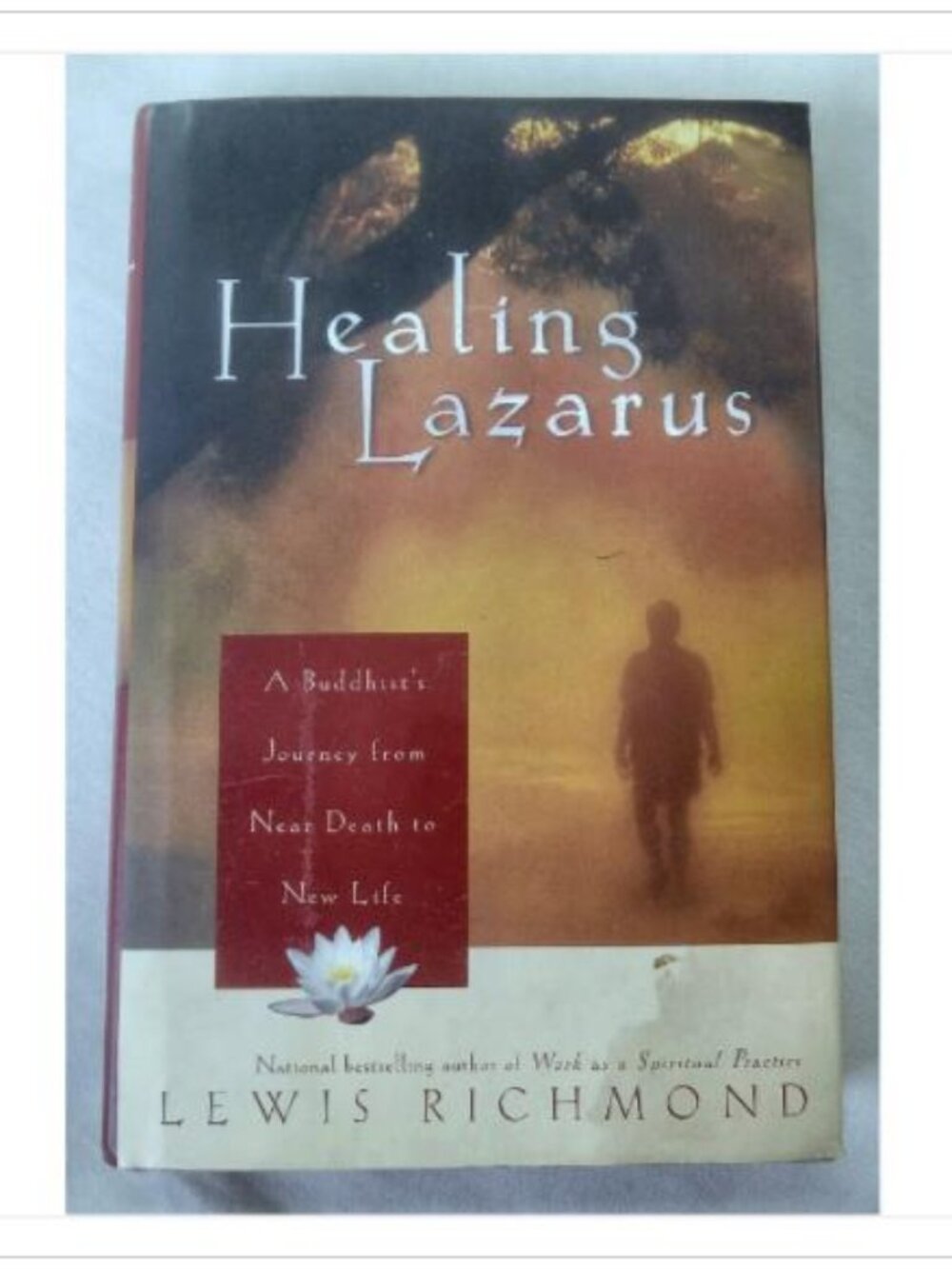 Healing Lazarus: A Buddhist's Journey from Near Death to New Life 2002 Book